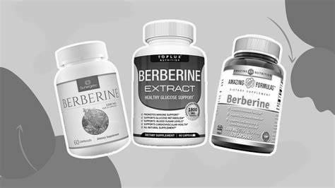Top Berberine Supplements for Optimal Health
