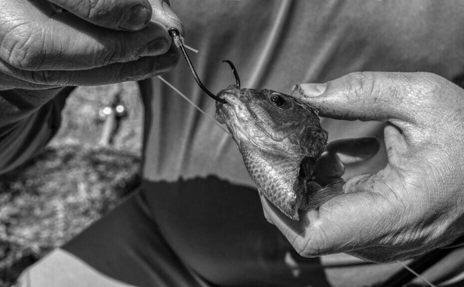 Top Catfish Fishing Hooks A Guide