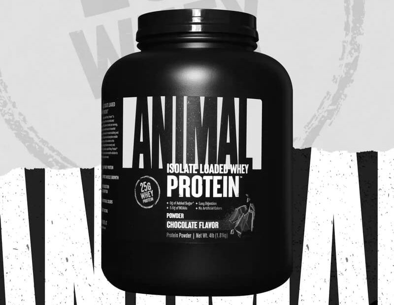 Top GNC Protein Powders for Fitness Enthusiasts
