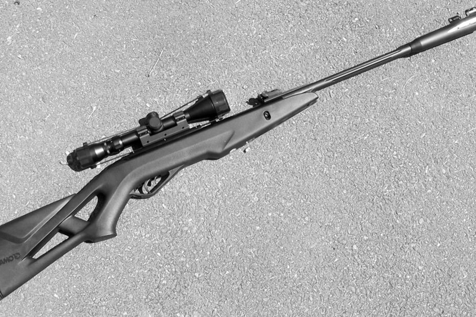 Top Gamo Air Rifles for Precision Shooting