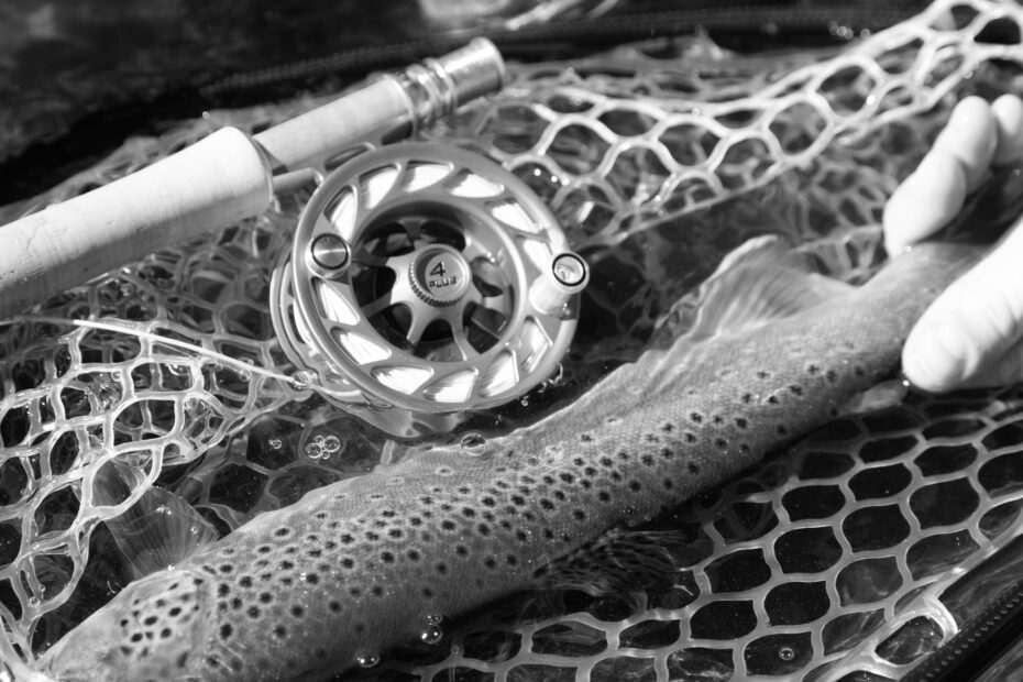 Top Trout Fishing Gear You Need