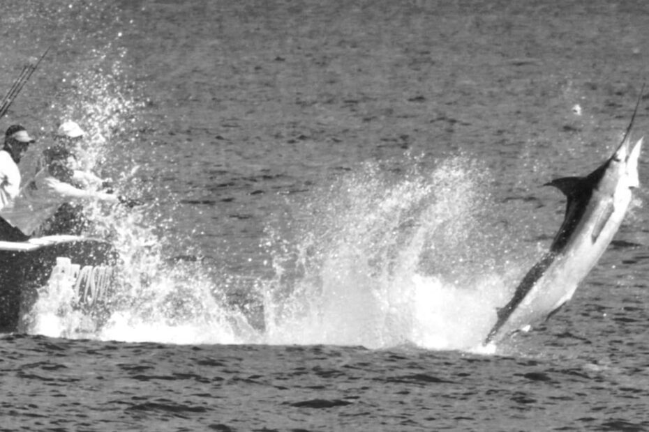 Types of Fishing Licenses in Florida