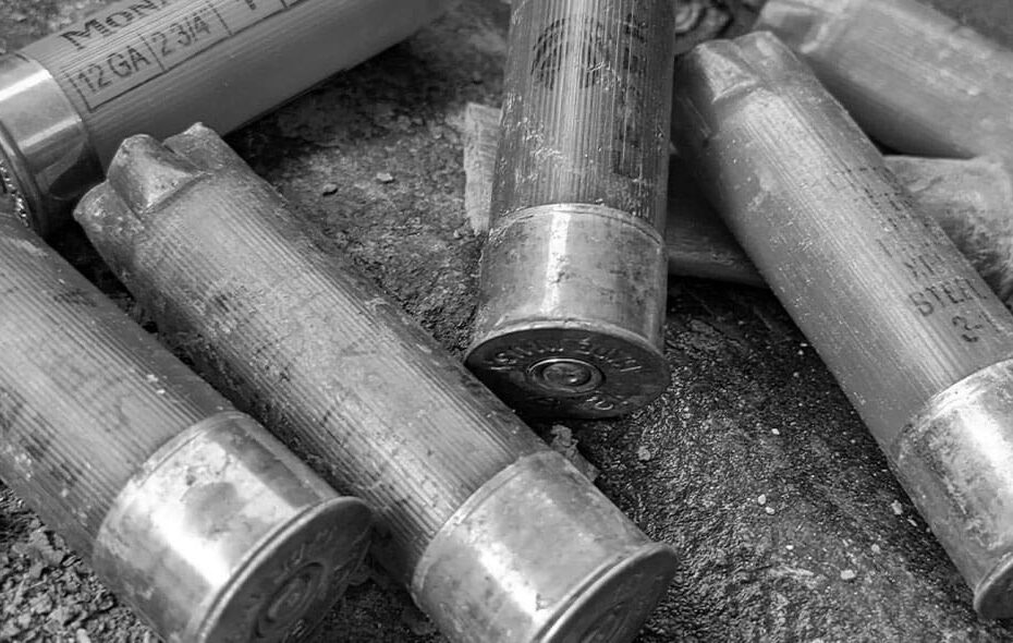 Types of Shotgun Shells and Their Uses