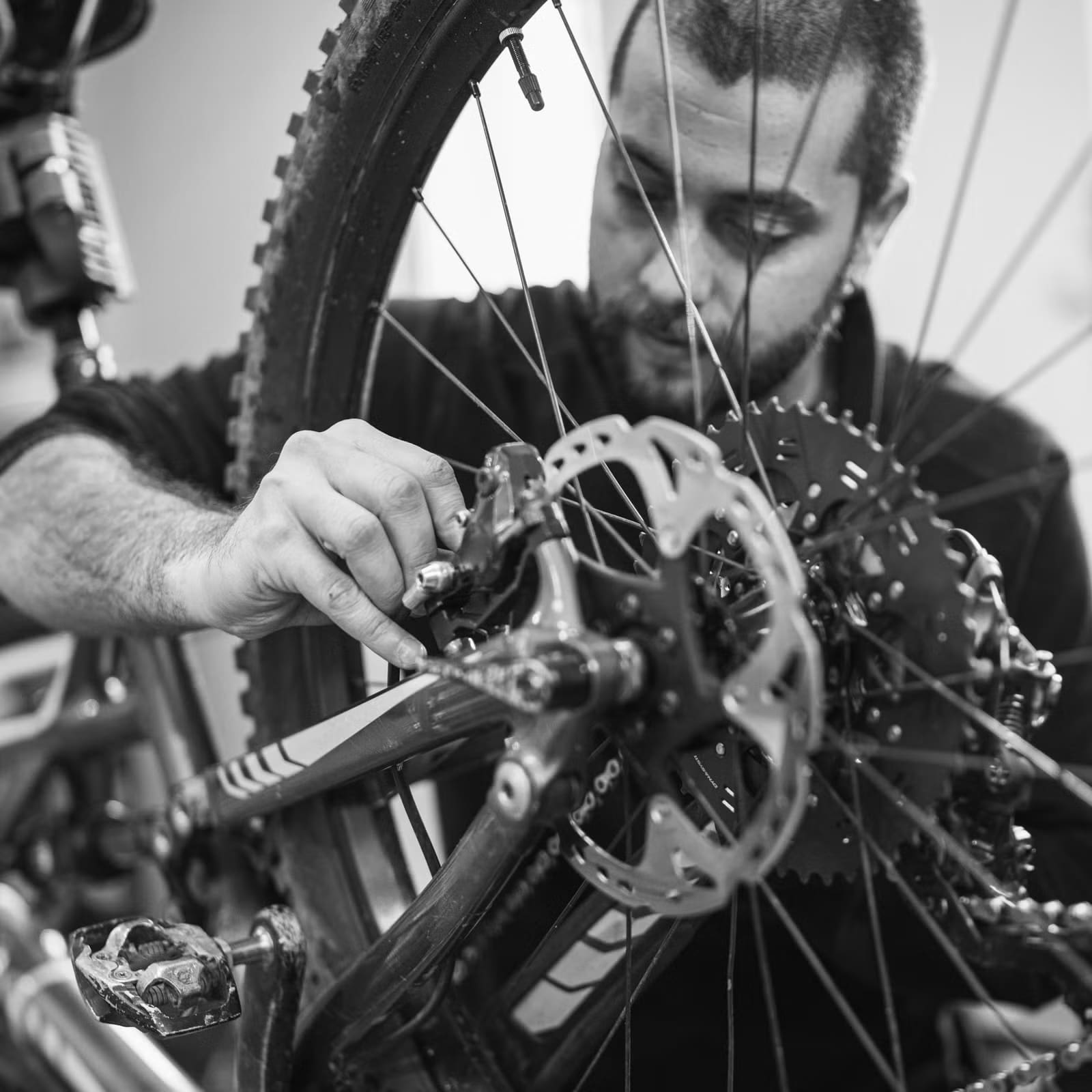 brake pads on a bike