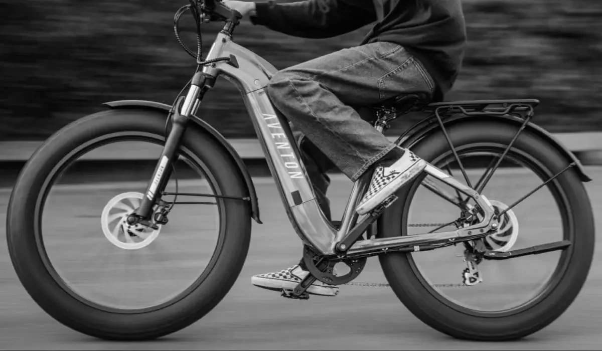 750 Watt Electric Bike Performance Insights