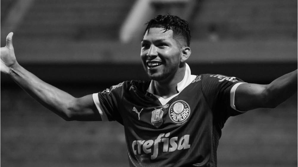 Best Palmeiras Players in Recent History