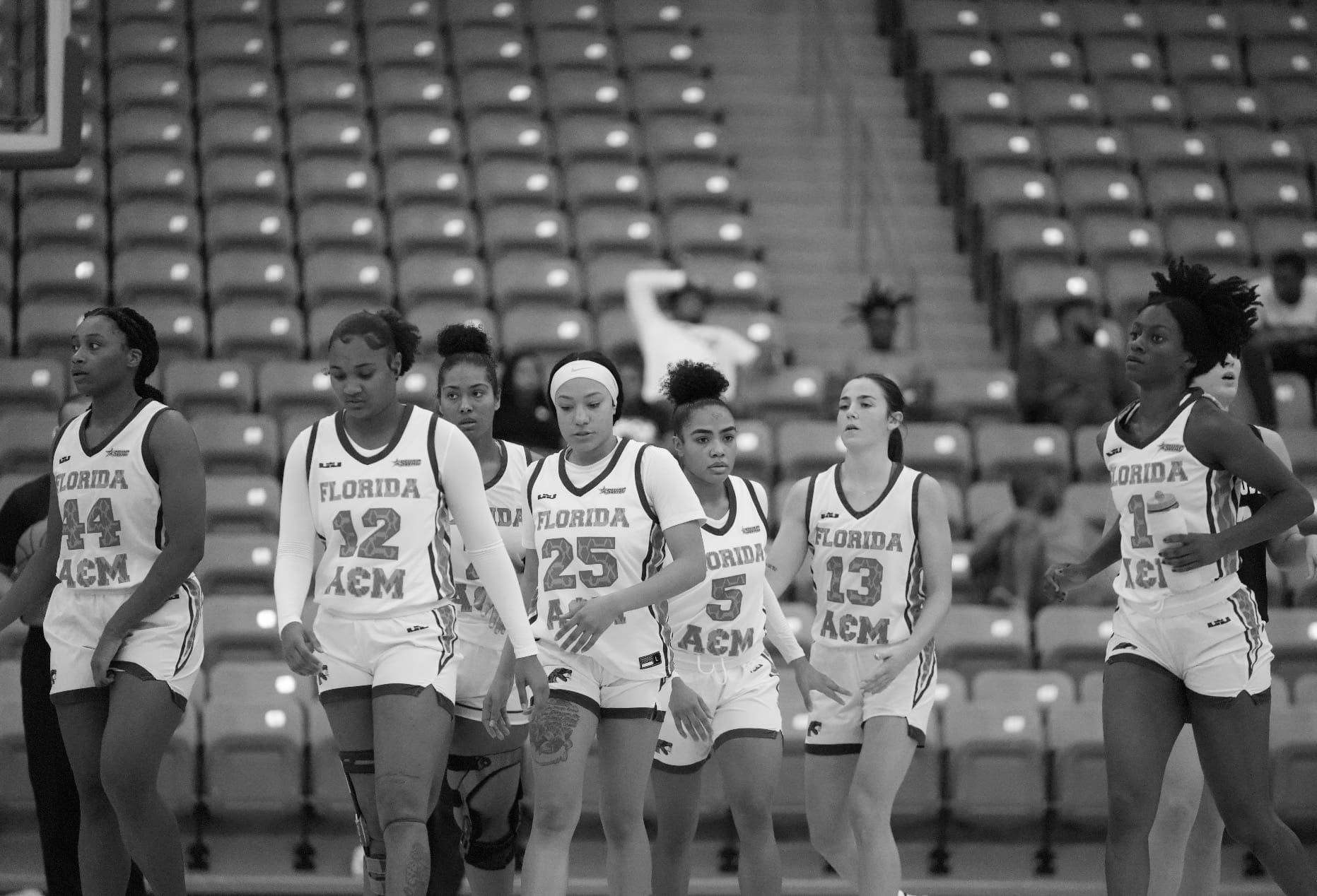 Best Rattlers Ranking Florida A&M Women's Basketball's All Time Players