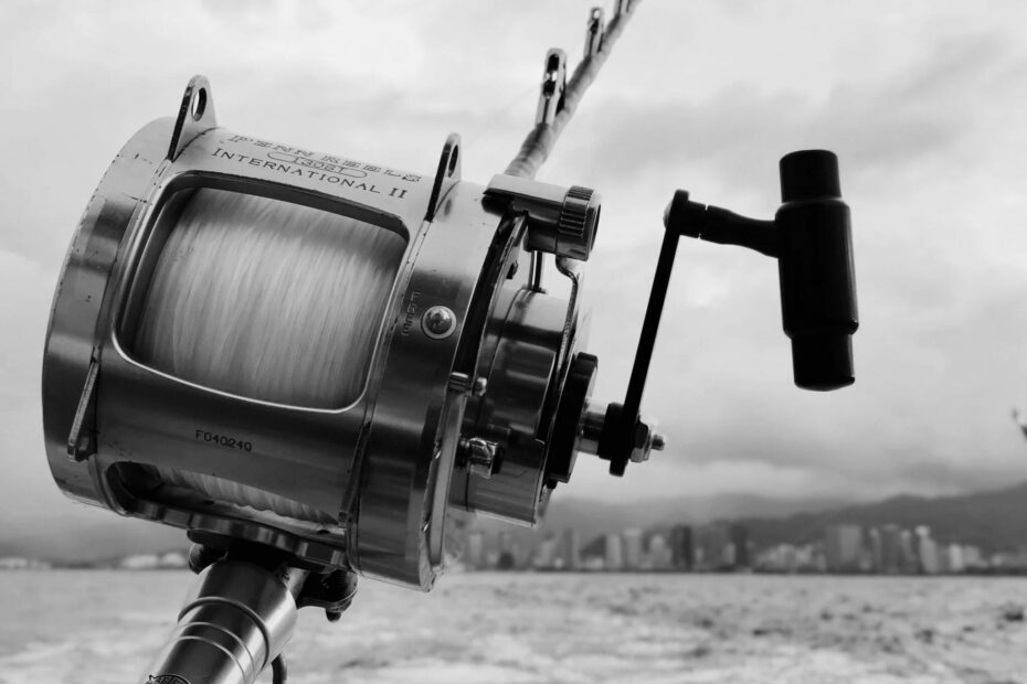 Best Rod & Reels for Saltwater Fishing