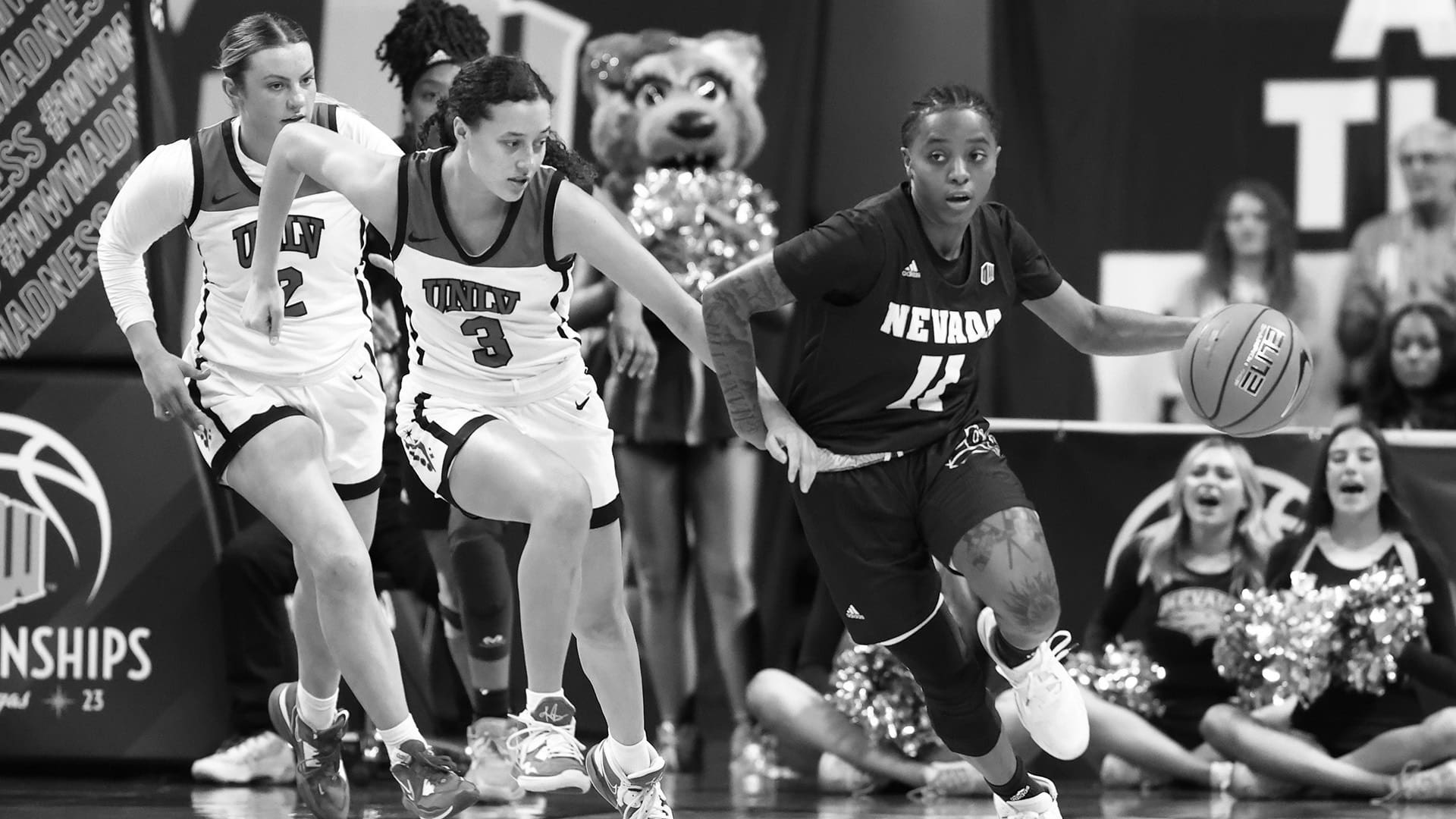 Best Wolf Pack Ranking Nevada Women's Basketball's All Time Players