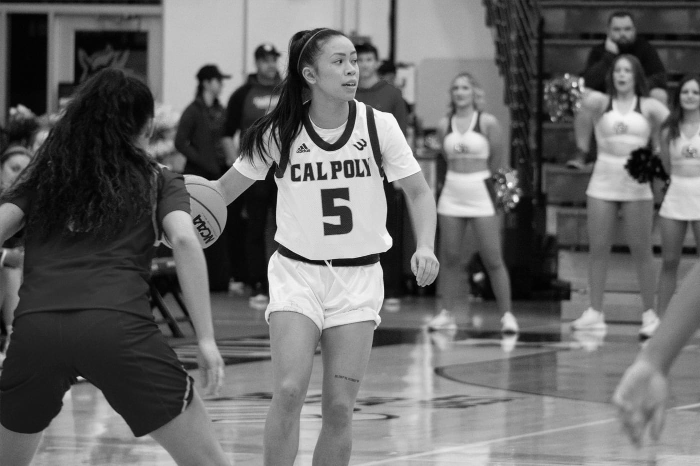 Cal Poly Women's Basketball Legends Ranked