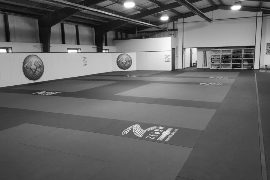 Choosing the Best BJJ Mats for Training