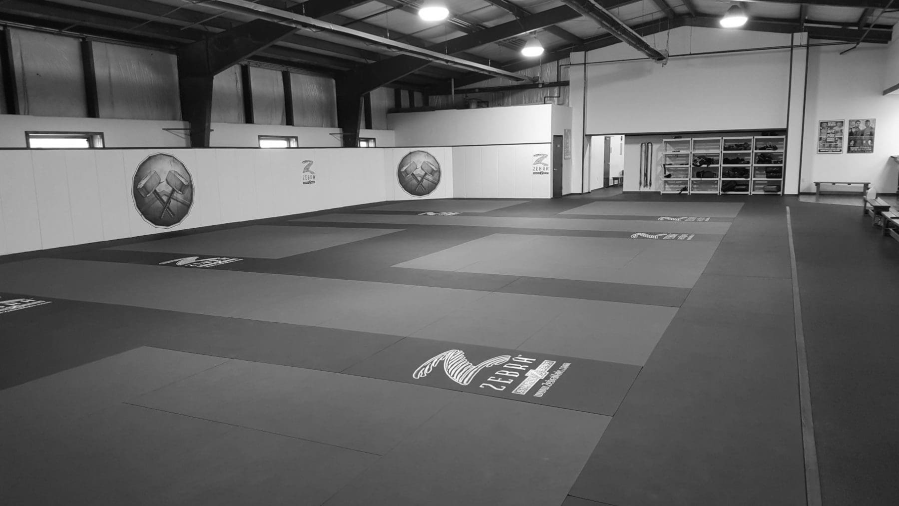 Choosing the Best BJJ Mats for Training