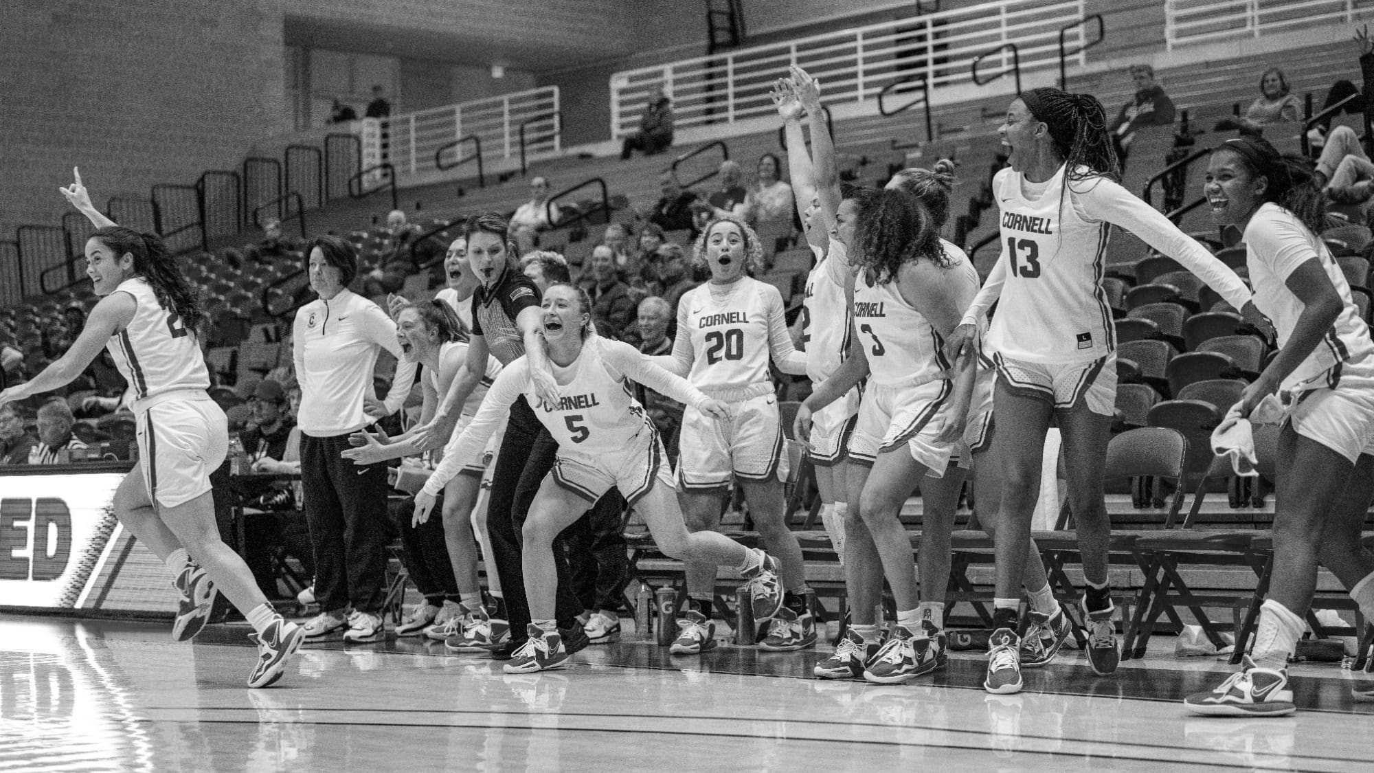 Cornell Women's Basketball's Mount Rushmore of Players