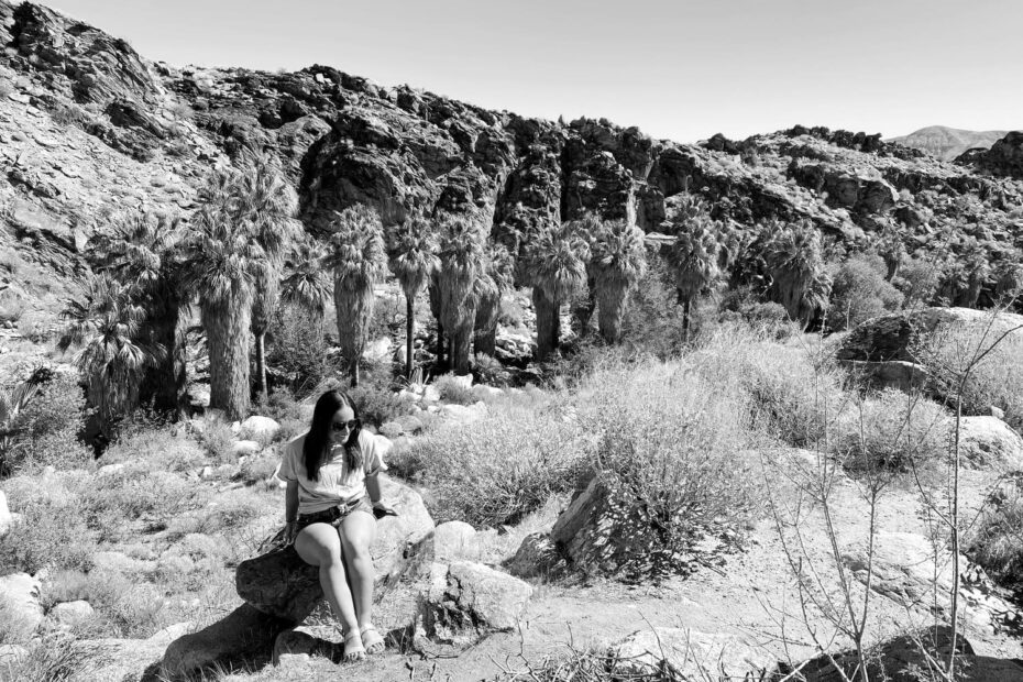 Discover Palm Springs Best Hiking Spots