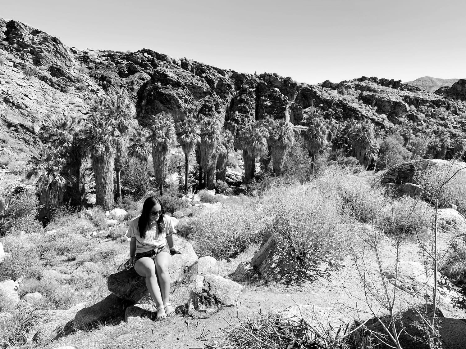 Discover Palm Springs Best Hiking Spots