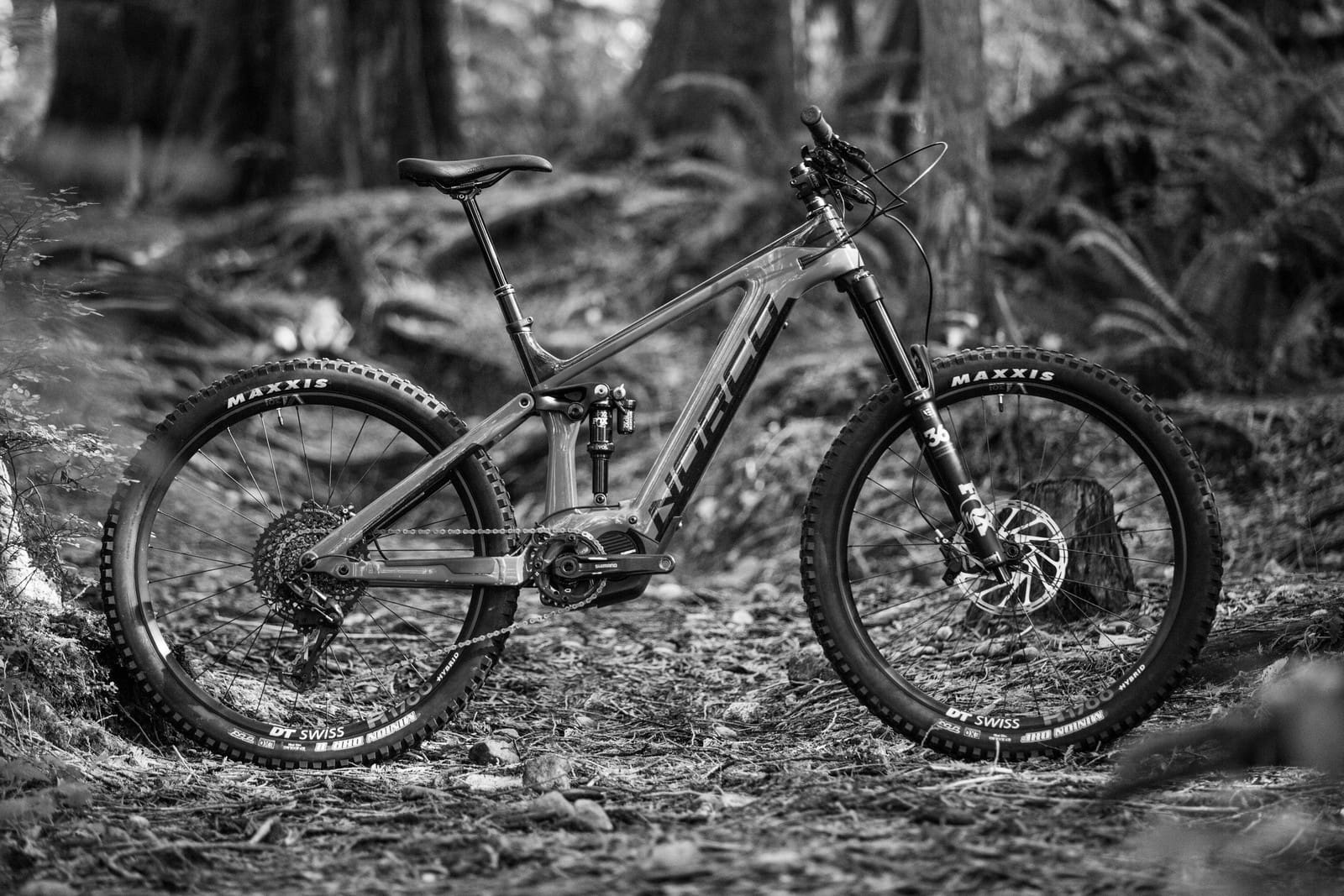 Exploring the Best Norco Bikes Today