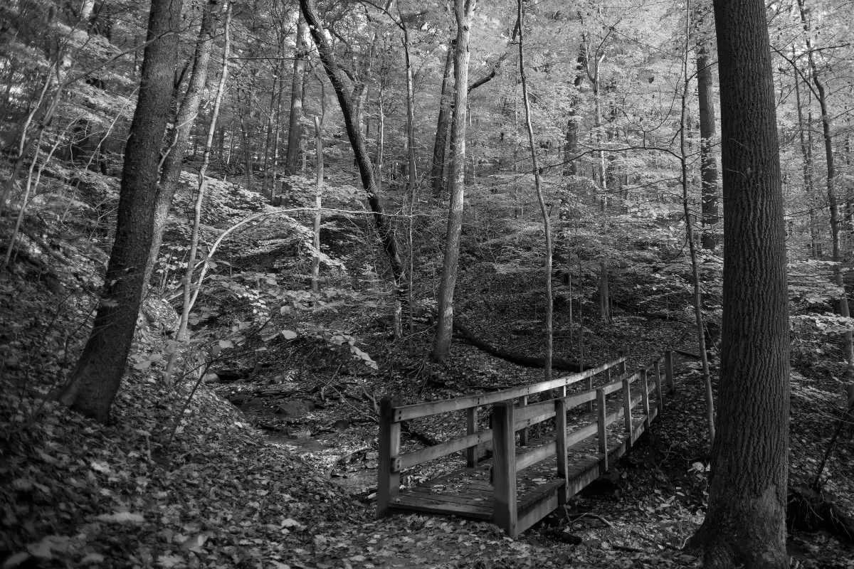 Hidden Gems Columbus Hiking Trails Explored