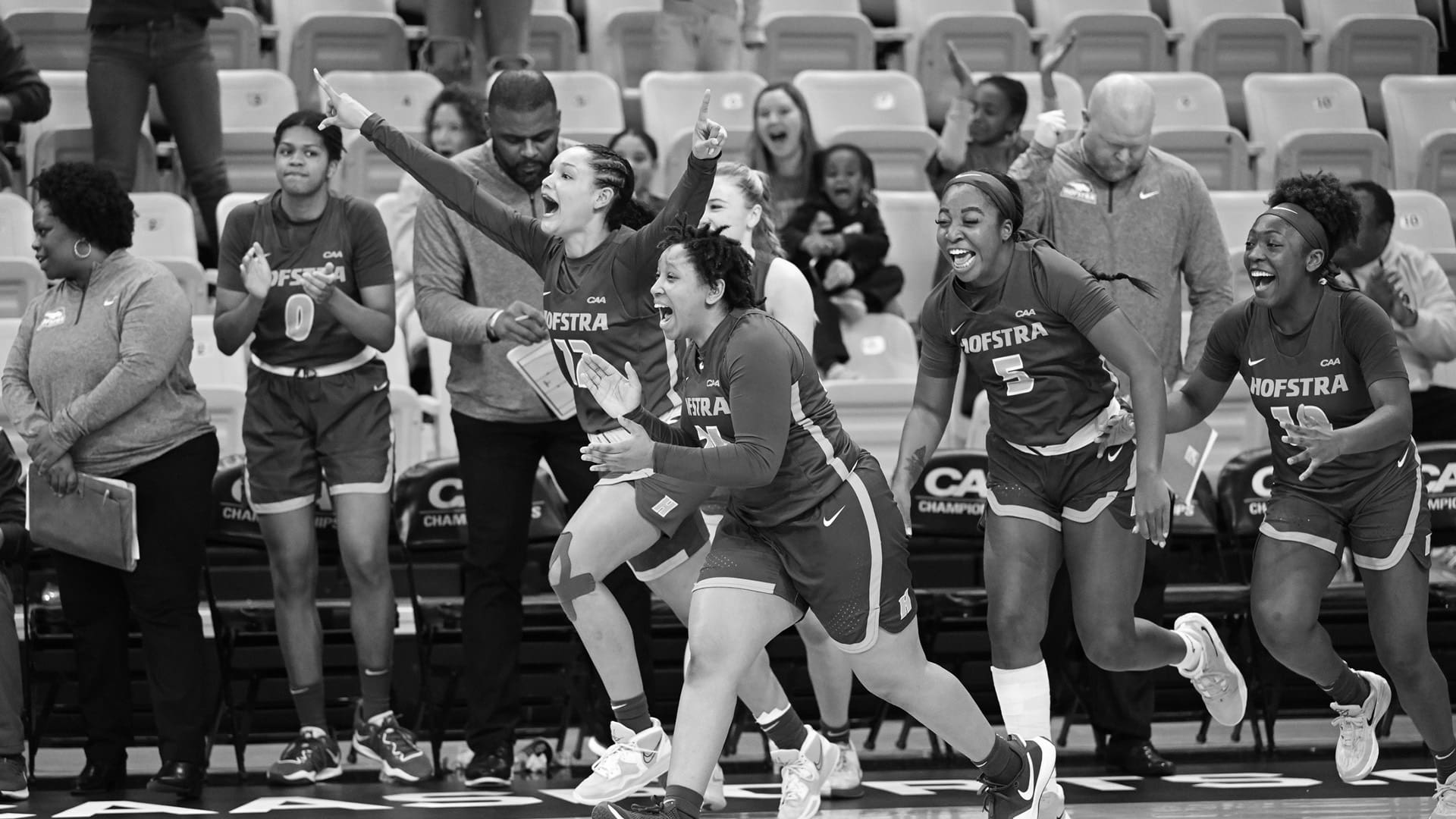 Hofstra Women's Basketball's Most Successful Players