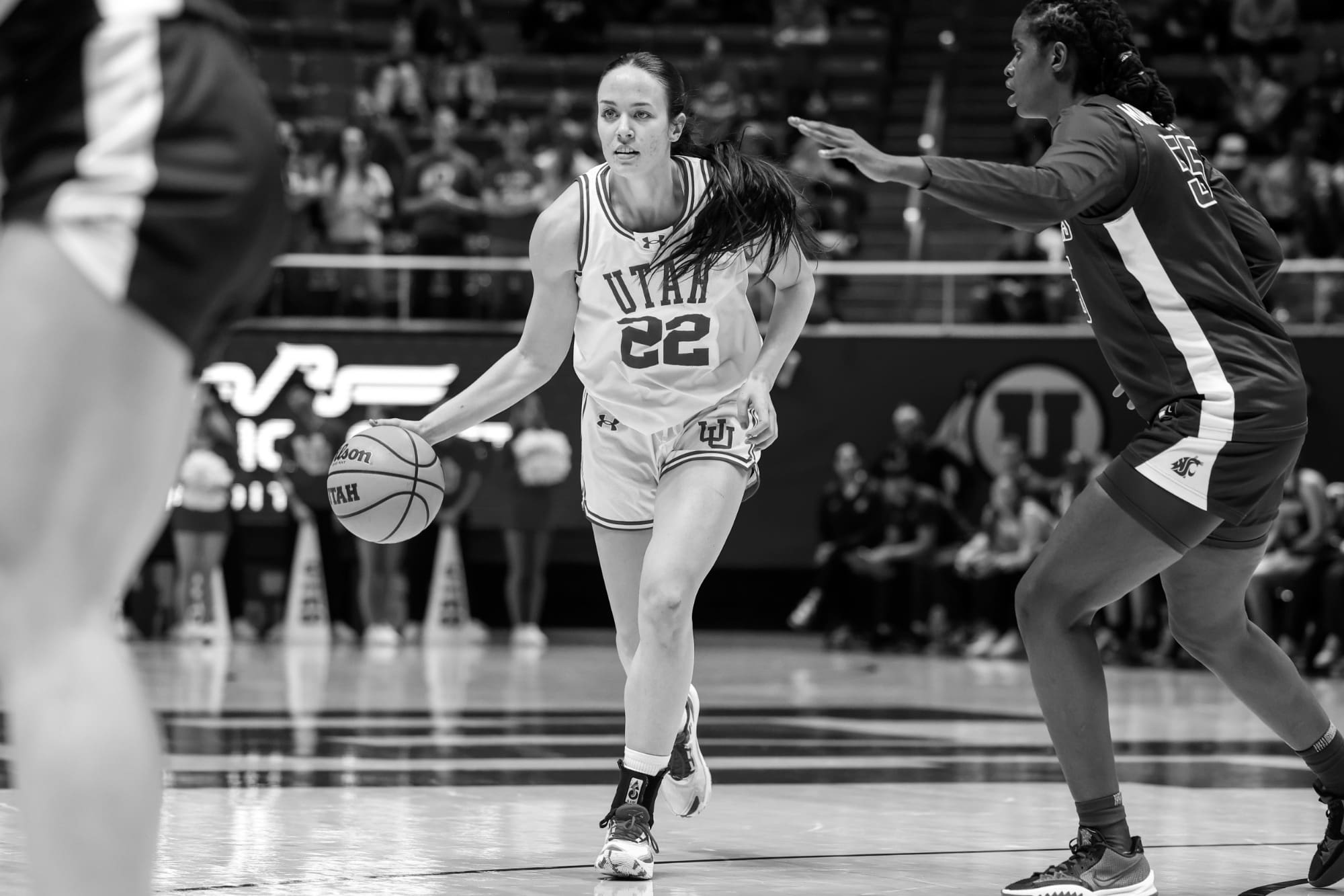 Legendary Aggies Utah State Women's Basketball's Icons