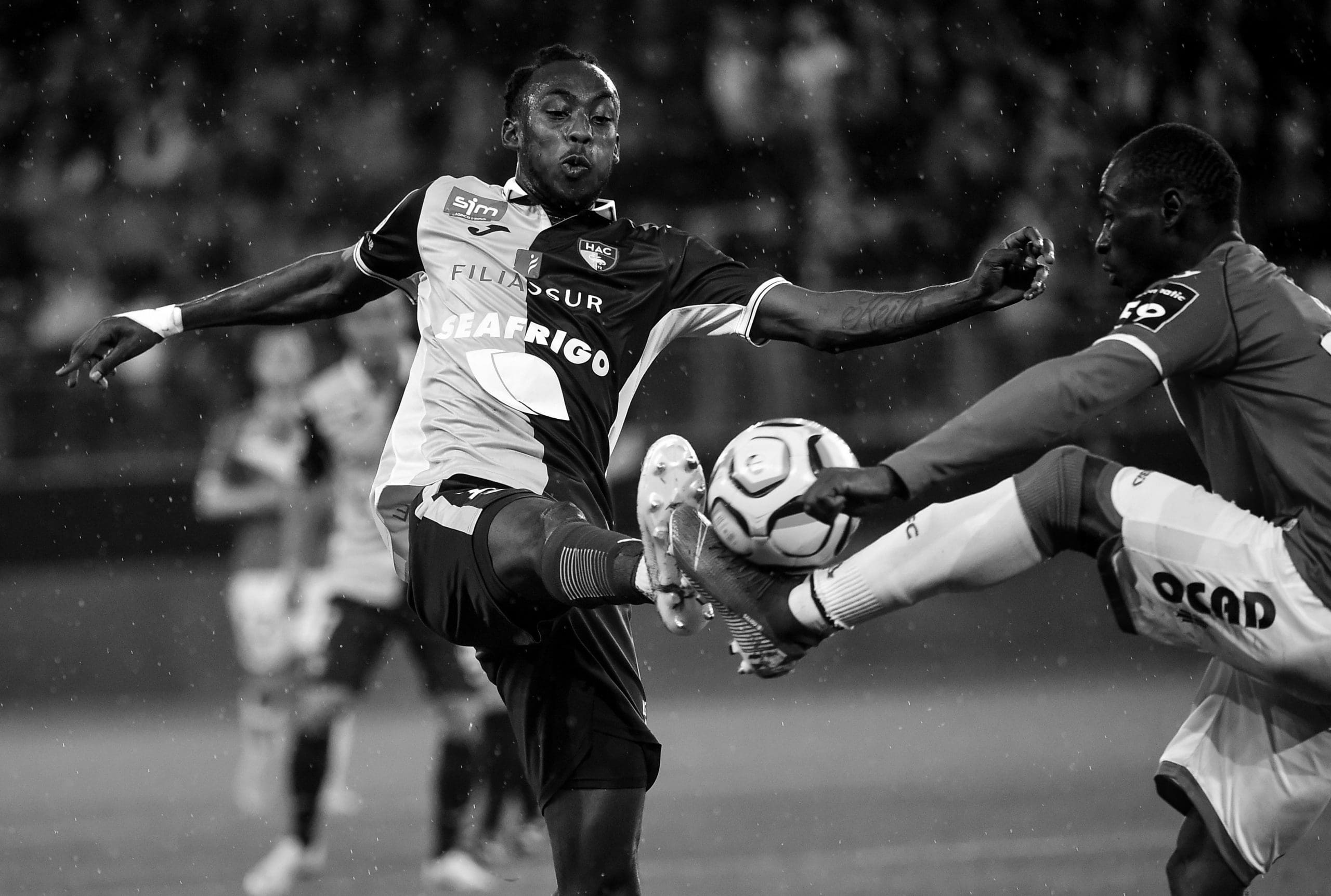Legendary Le Havre Players You Should Know