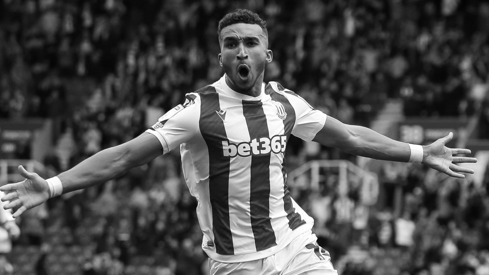 Legendary Stoke City Players You Should Know