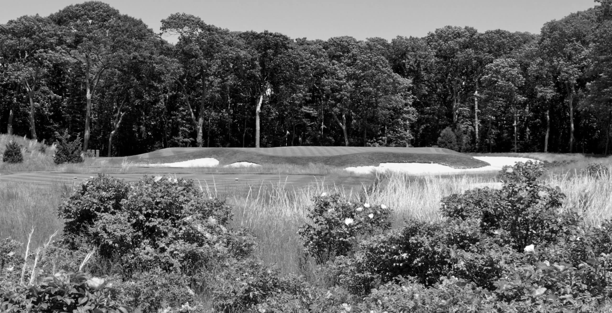 Long Island's Premier Golf Destinations Revealed