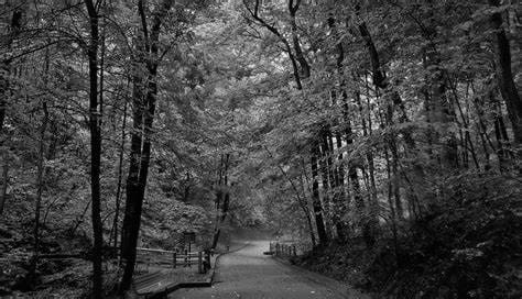 Must Visit Hiking Trails at Mammoth Cave