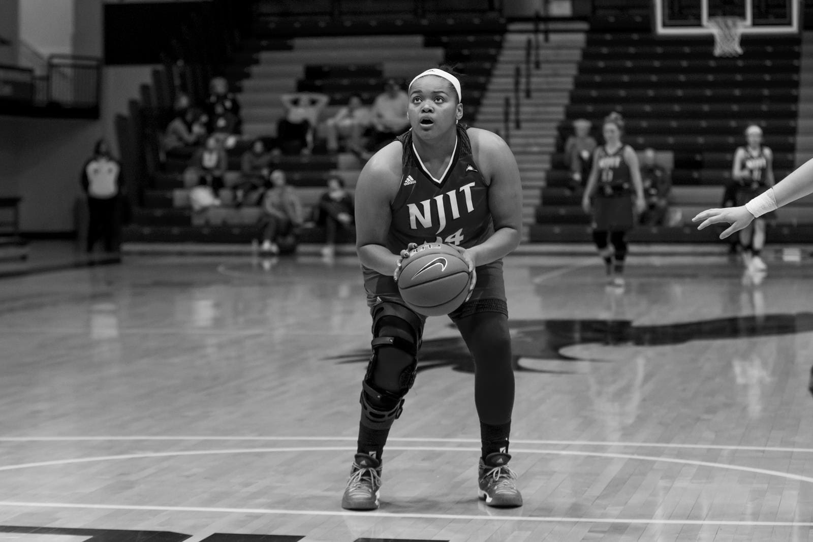 NJIT Women's Basketball Icons and Champions