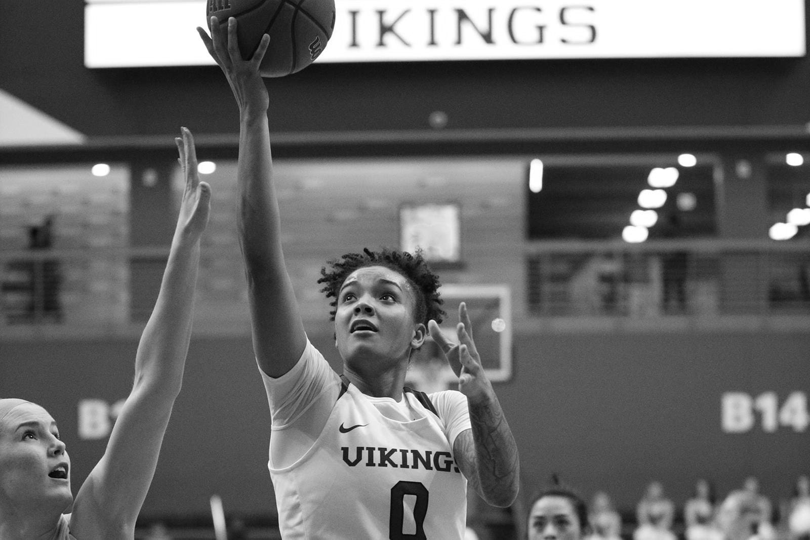 Portland State Women's Basketball's Top Players of All Time