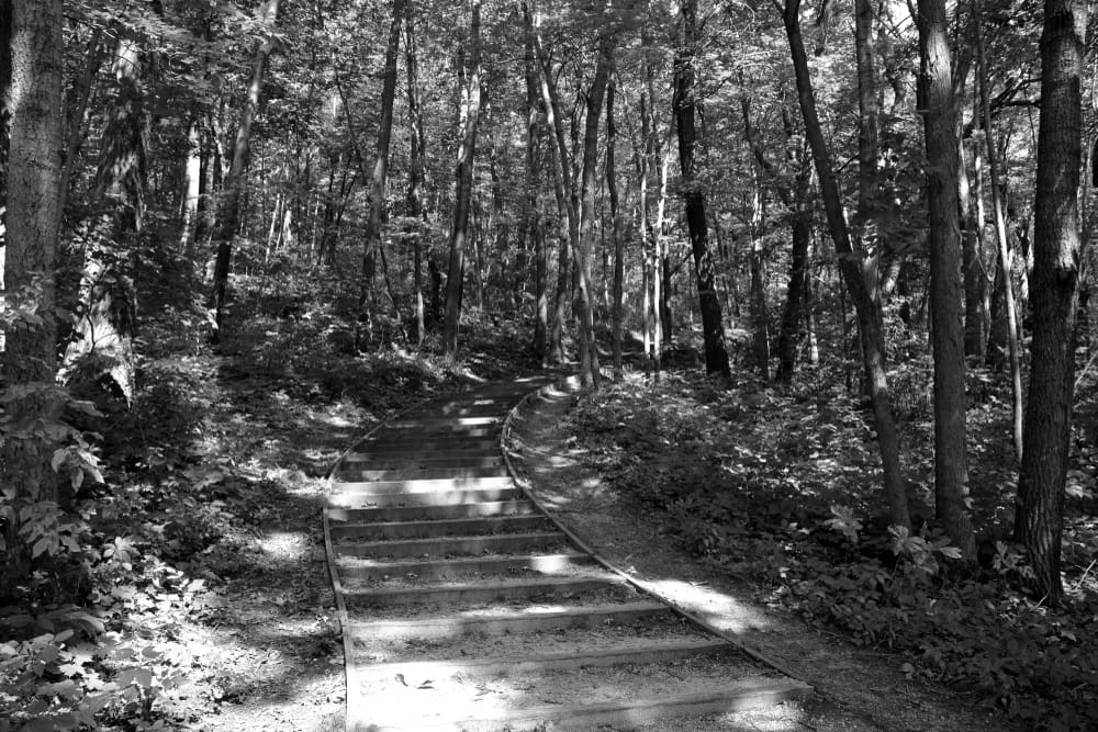 Scenic Hiking Routes for Wisconsin Adventurers
