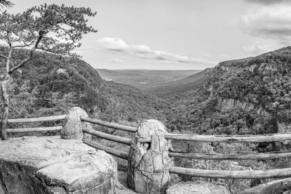 Scenic Views Chattanooga’s Best Hiking Spots
