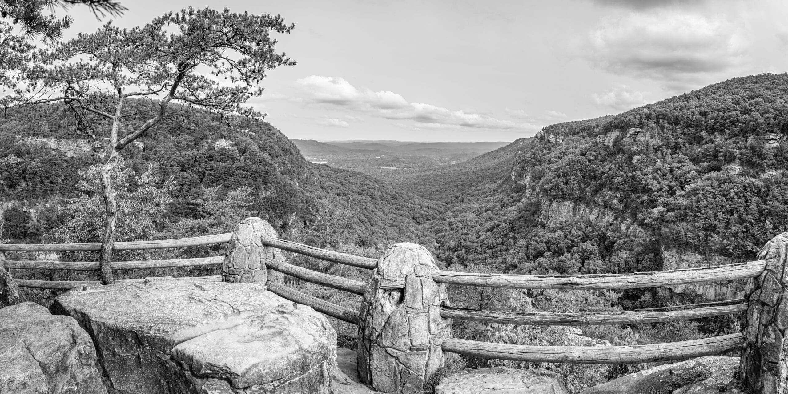 Scenic Views Chattanooga’s Best Hiking Spots