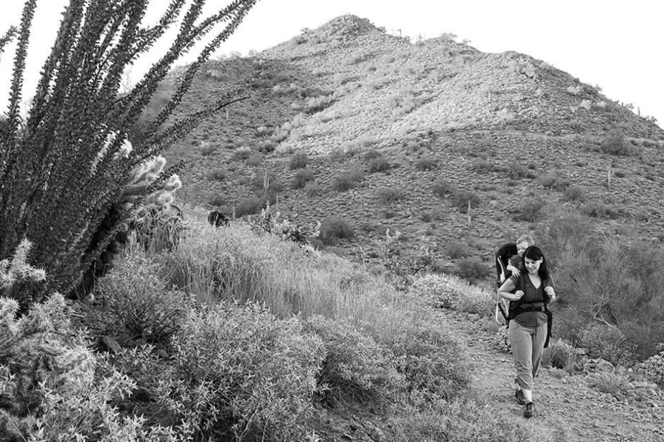 Scenic Views Phoenix’s Best Hiking Spots