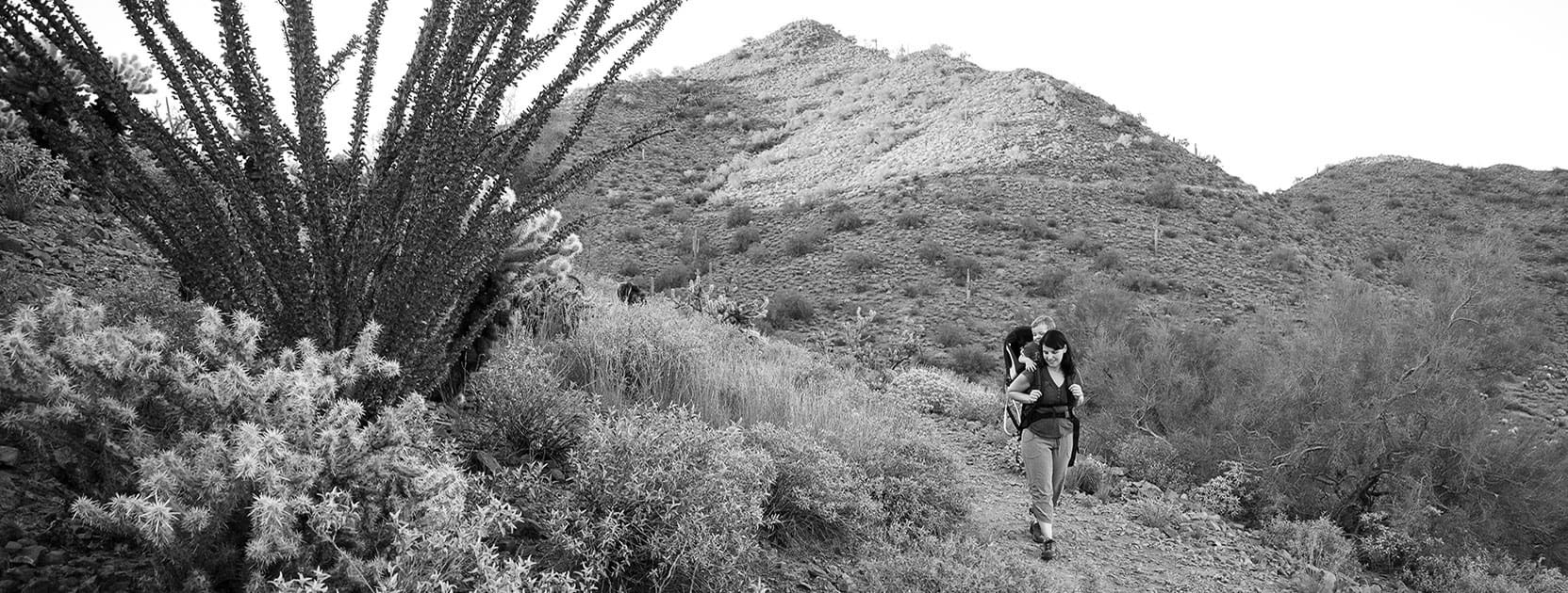 Scenic Views Phoenix’s Best Hiking Spots