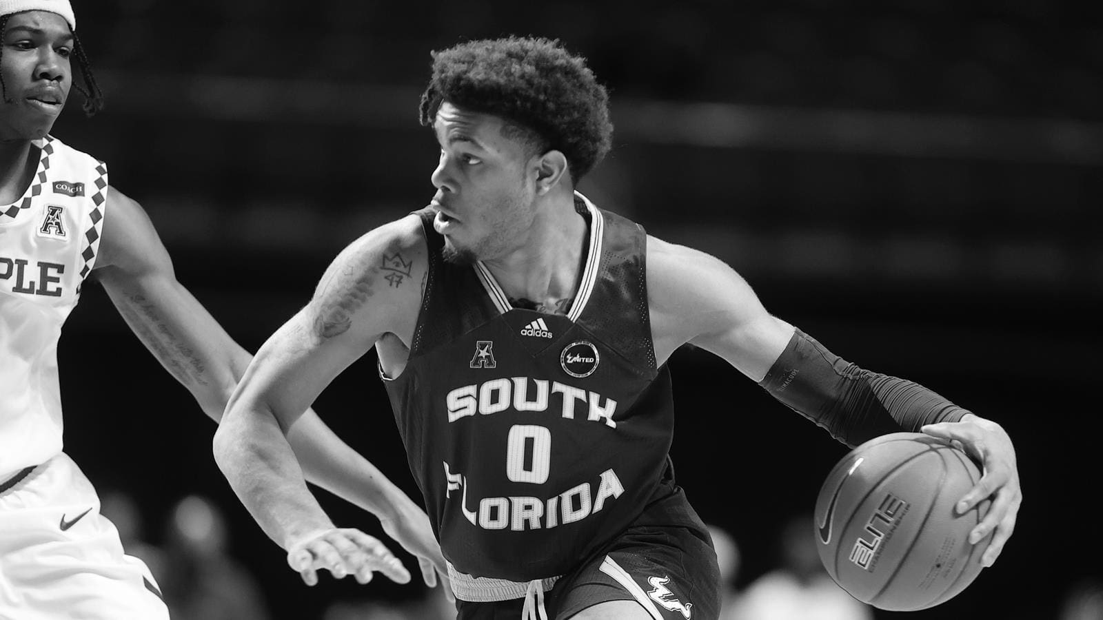 South Florida Basketball's Most Successful Players