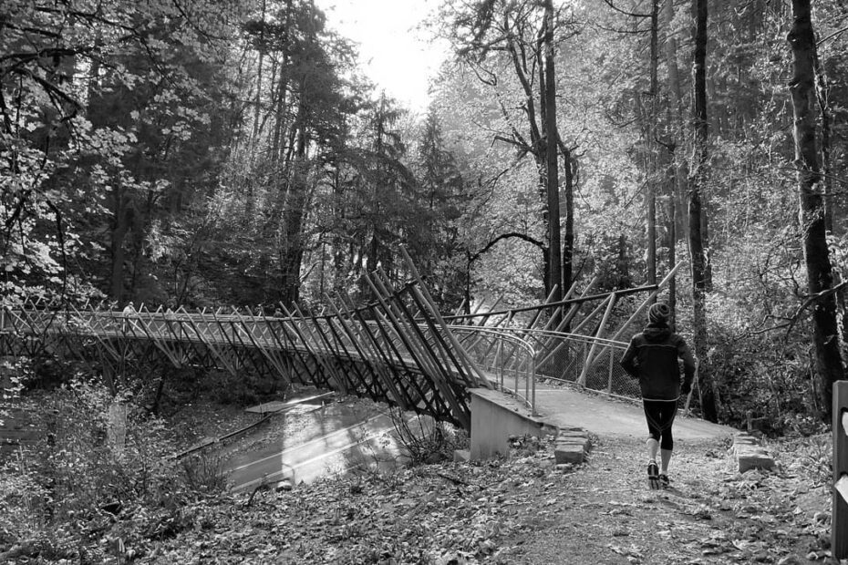 Top 10 Forest Park Hiking Trails