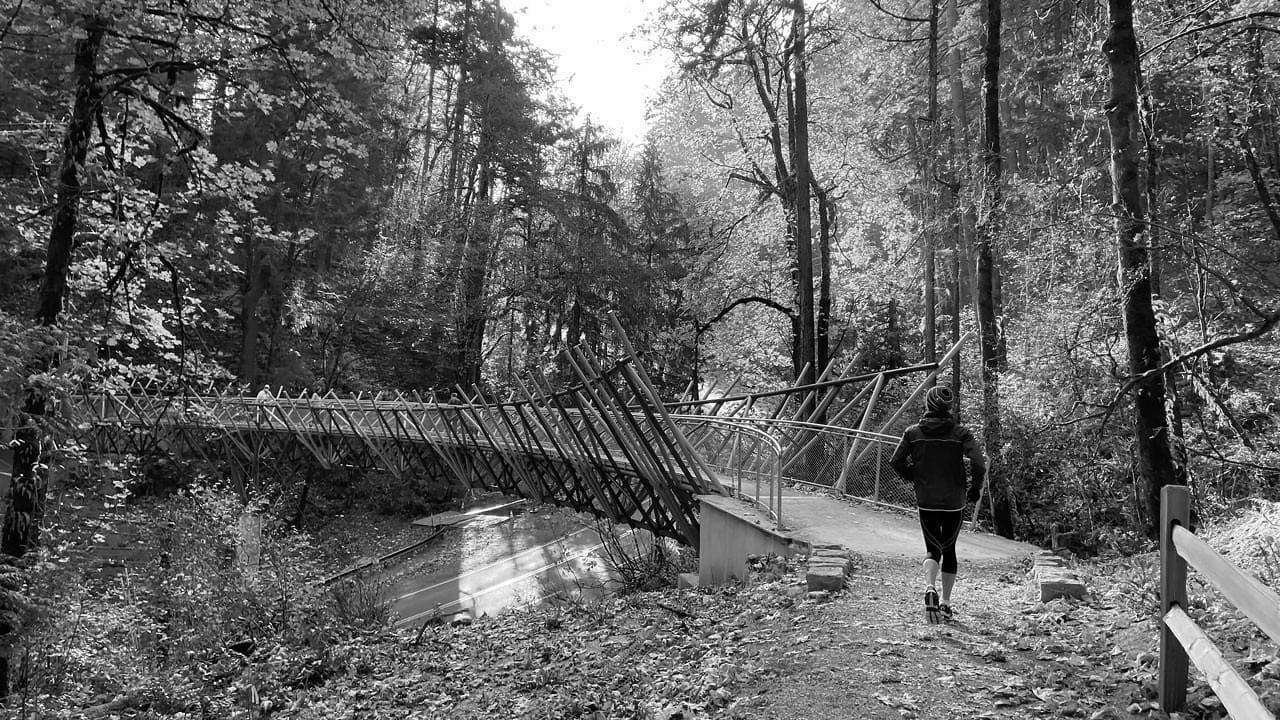 Top 10 Forest Park Hiking Trails
