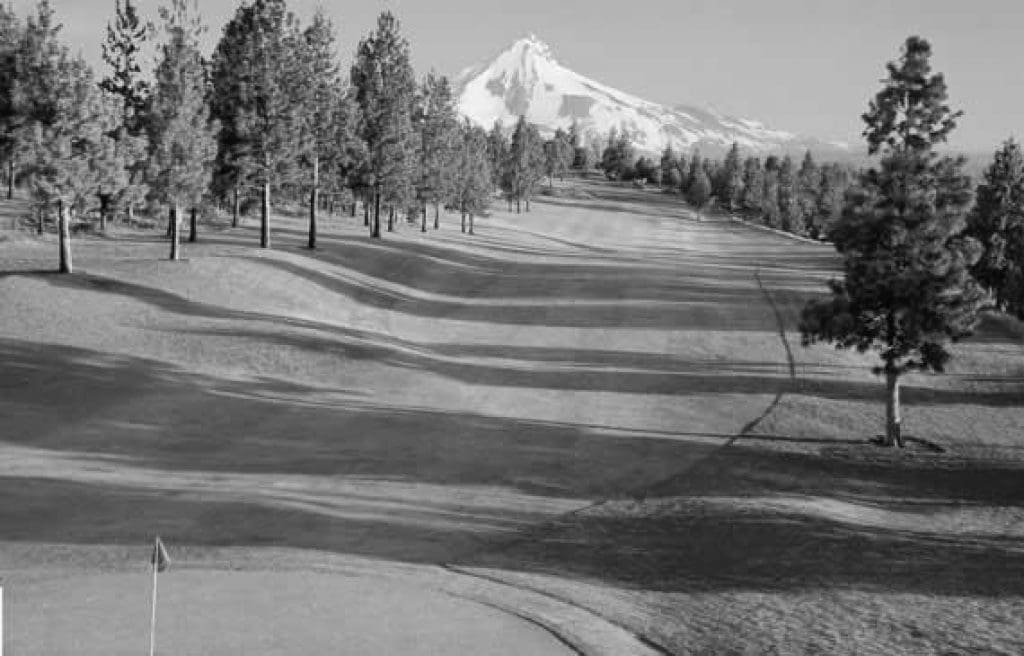 Top 10 Golf Courses to Play in Oregon
