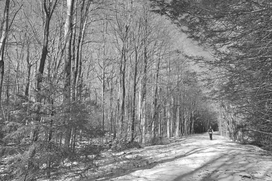 Top 10 Hiking Trails in Connecticut