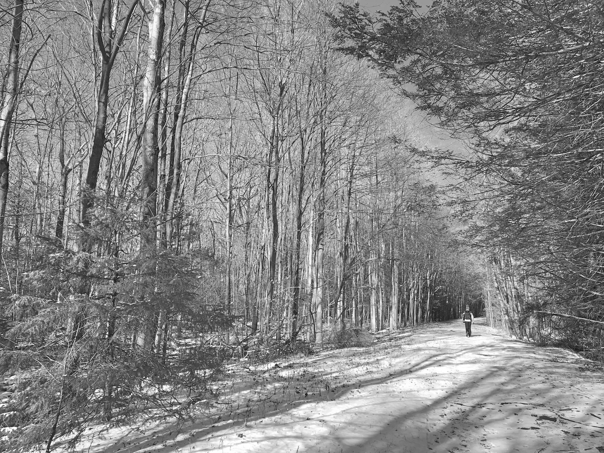 Top 10 Hiking Trails in Connecticut