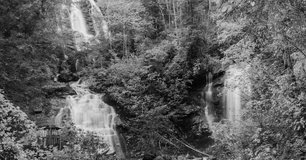 Top 10 Hiking Trails in Georgia