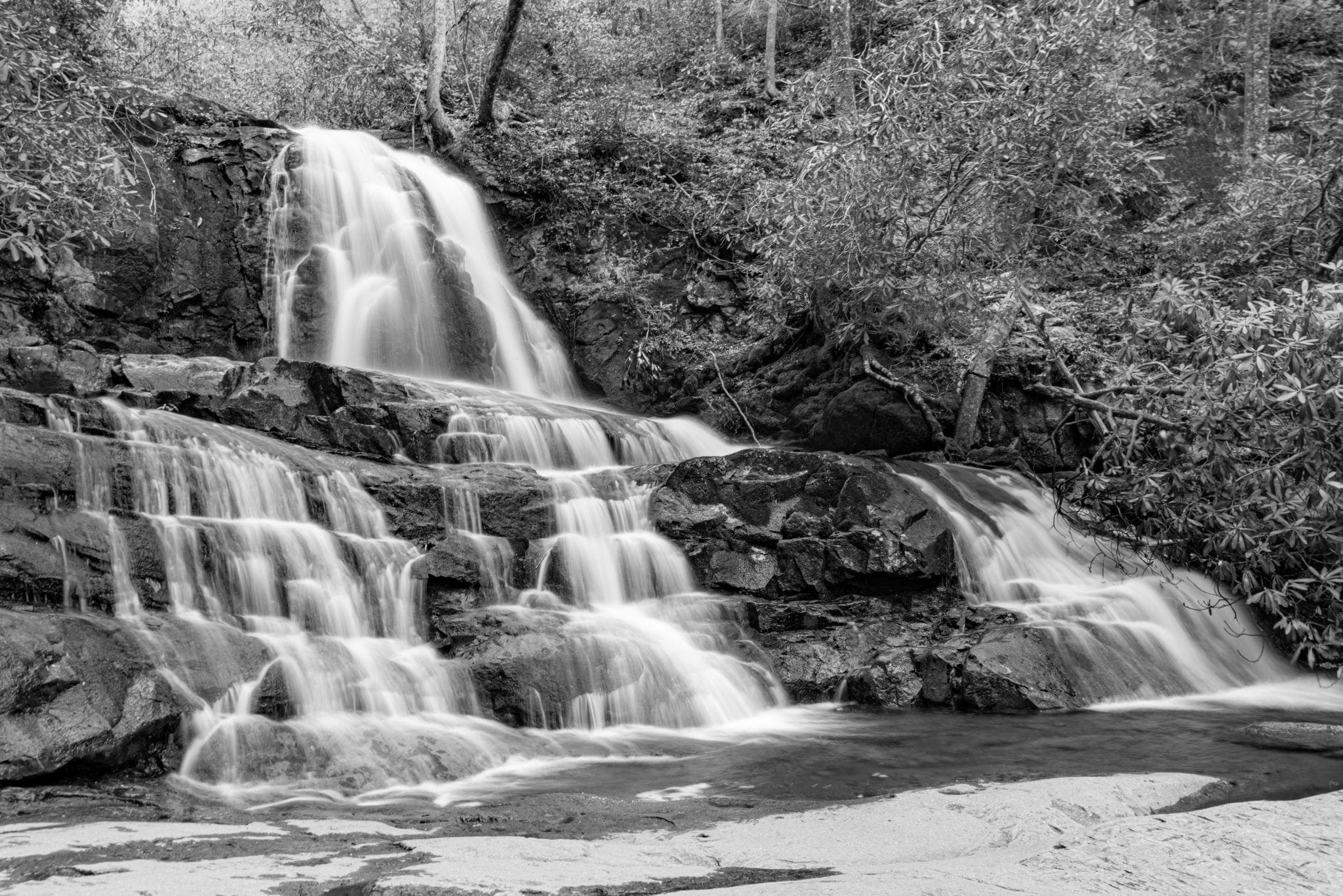 Top 10 Must Explore Hiking Trails in Gatlinburg