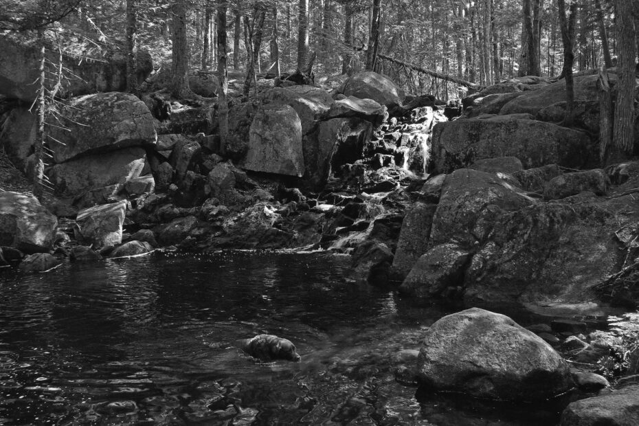 Top 10 Must Explore Hiking Trails in Maine