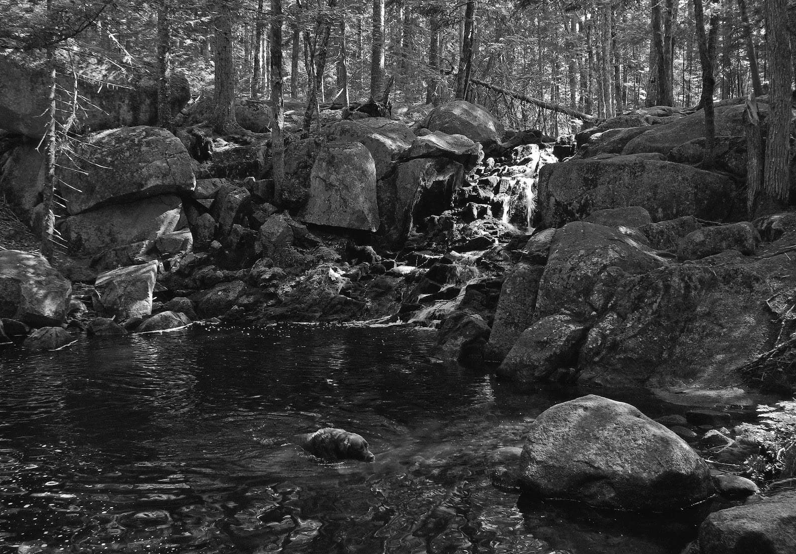 Top 10 Must Explore Hiking Trails in Maine