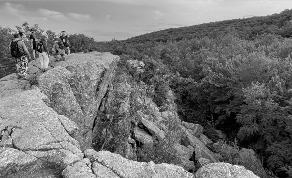 Top 10 Scenic Hiking Trails in NJ