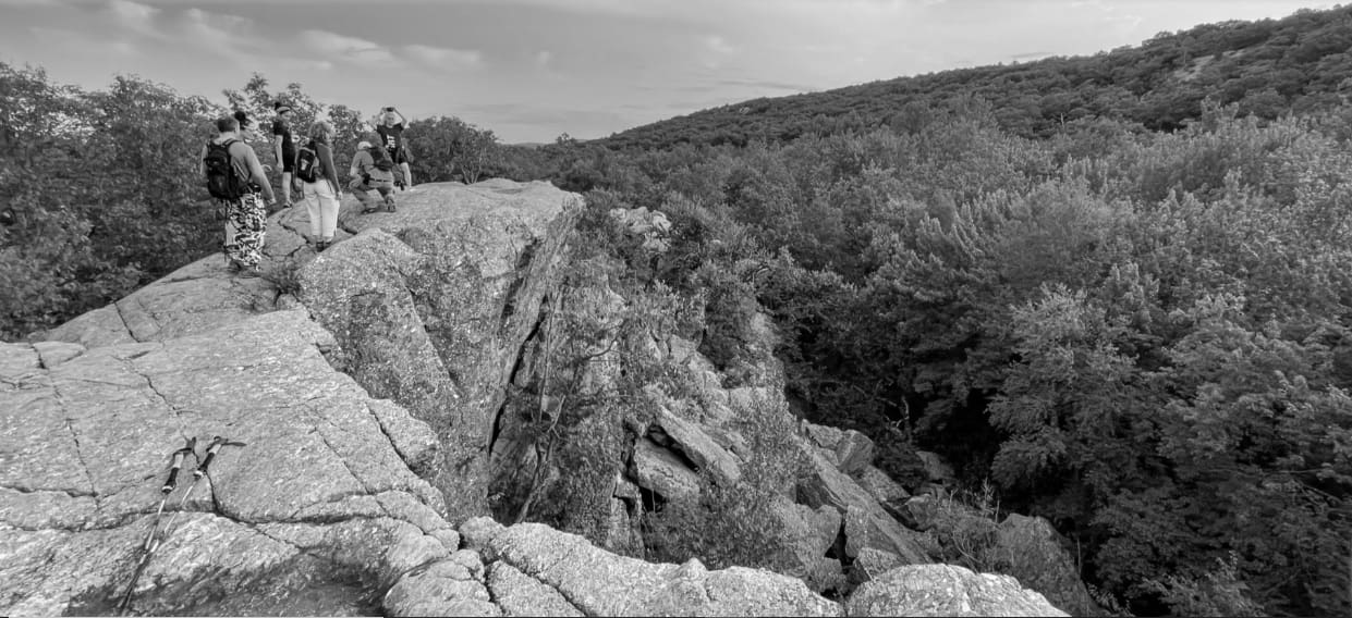 Top 10 Scenic Hiking Trails in NJ