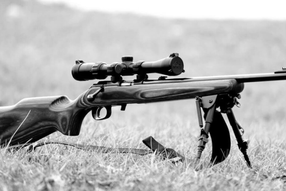 Top 5 .270 Rifles for Hunters