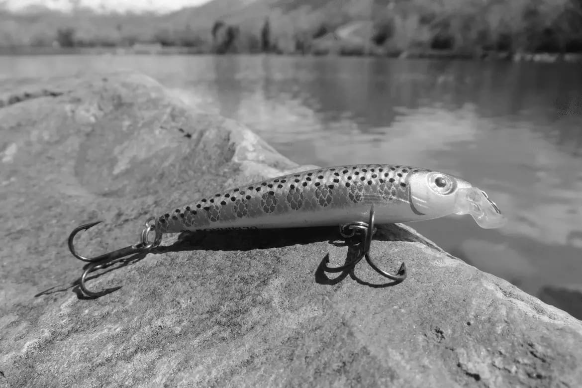 Top 5 Lures for Rainbow Trout Fishing