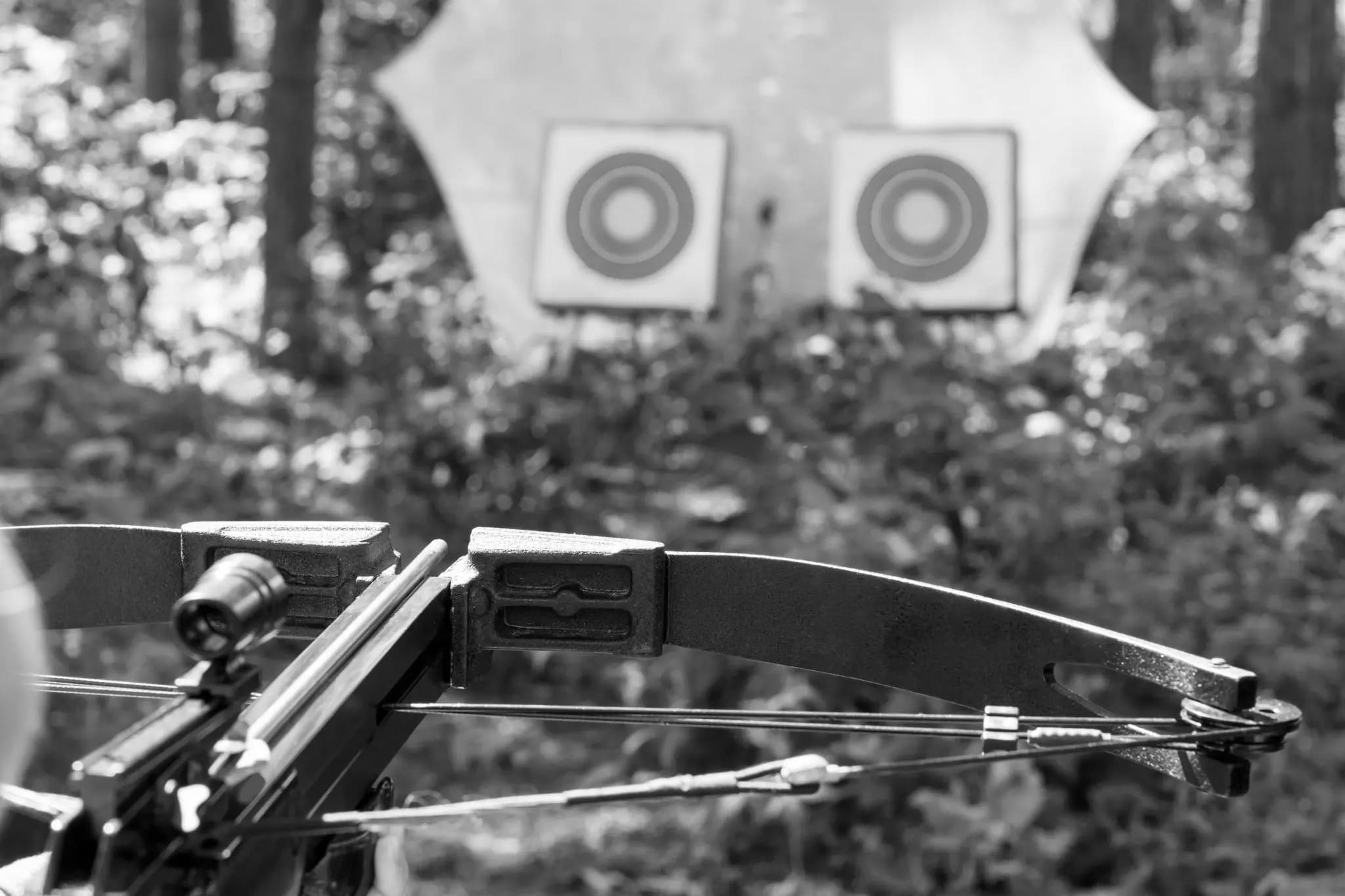 Top Crossbow Targets for Precision Shooting