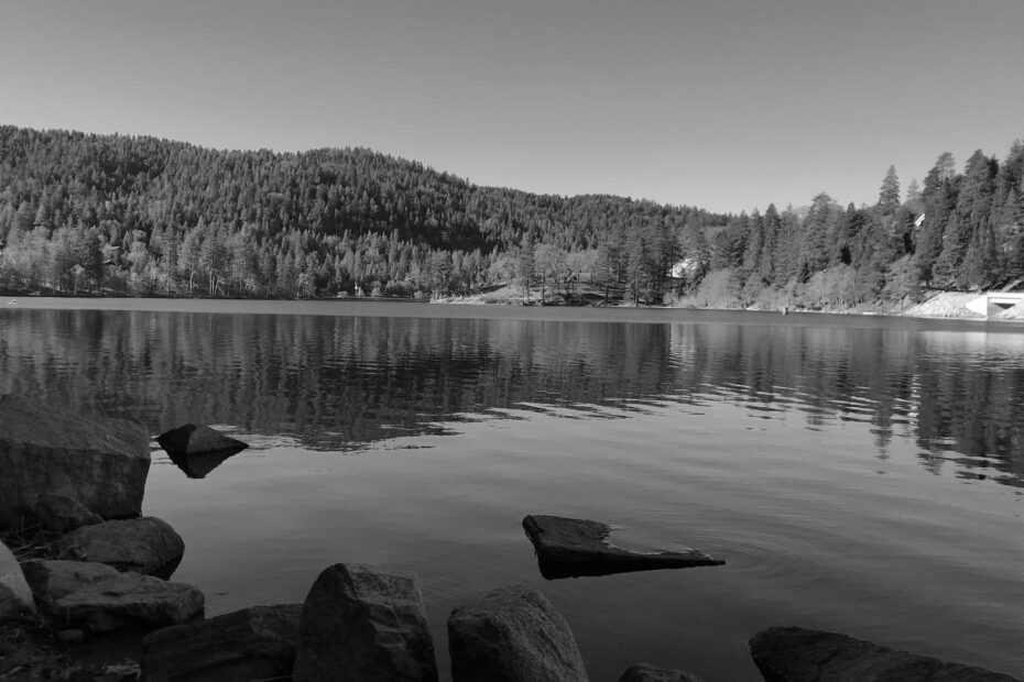 Top Hiking Trails Around Lake Arrowhead